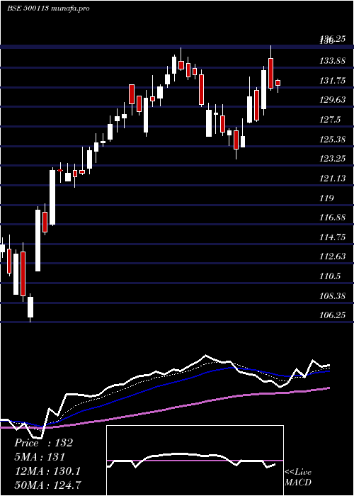 Daily chart SteelAuth
