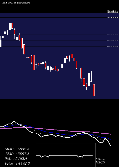  Daily chart GodfreyPh