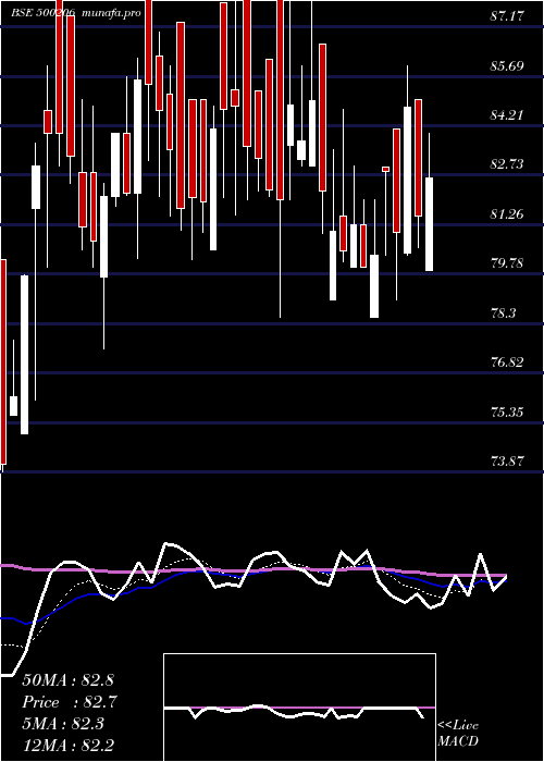  Daily chart MargoFin