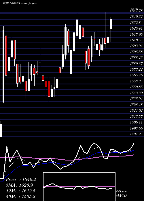  Daily chart Infosys