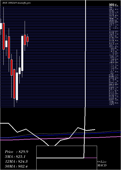 monthly chart Ksb