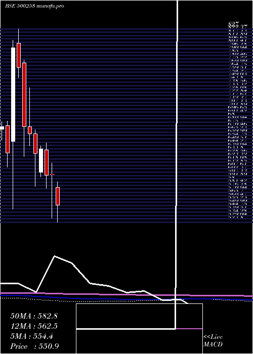  monthly chart LicHous