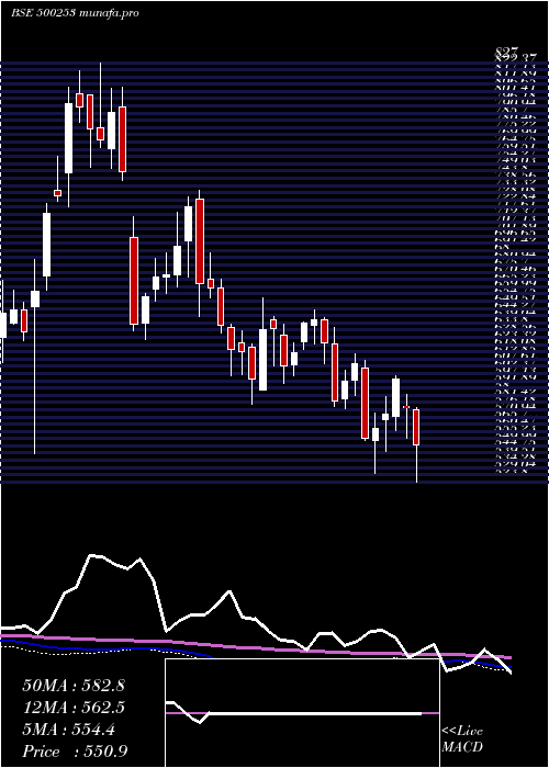  weekly chart LicHous