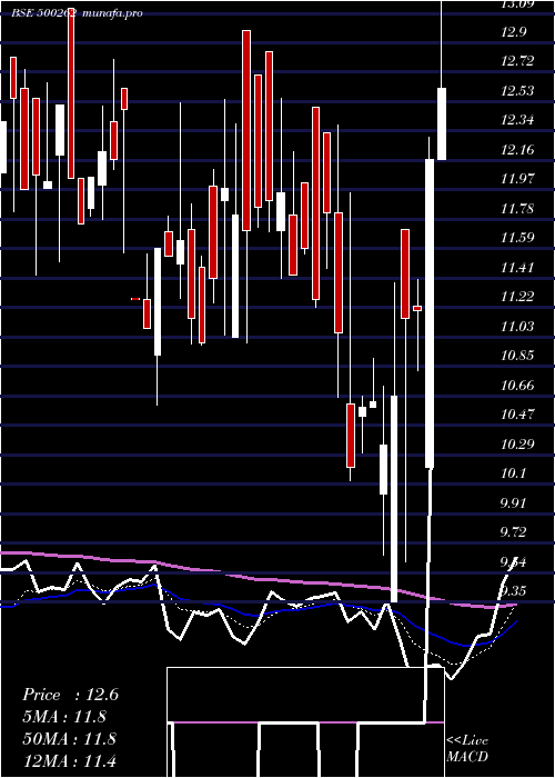 Daily chart Hybridfin