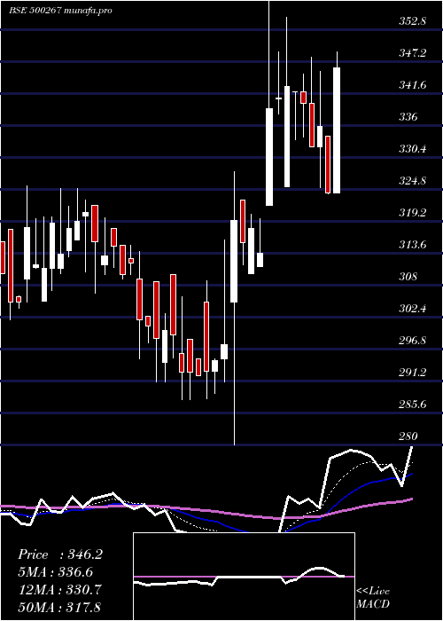  Daily chart MajesticAut