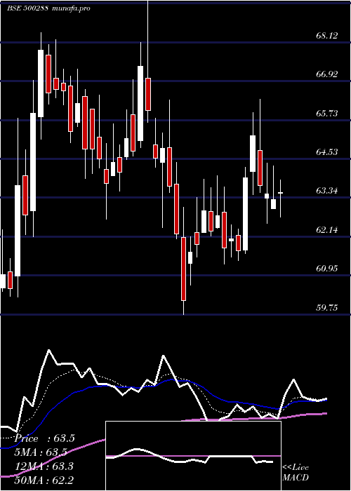 Daily chart MorepenLab