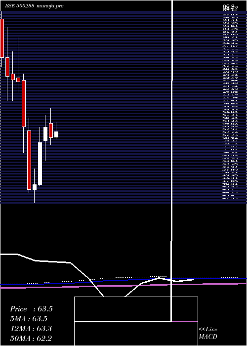 monthly chart MorepenLab