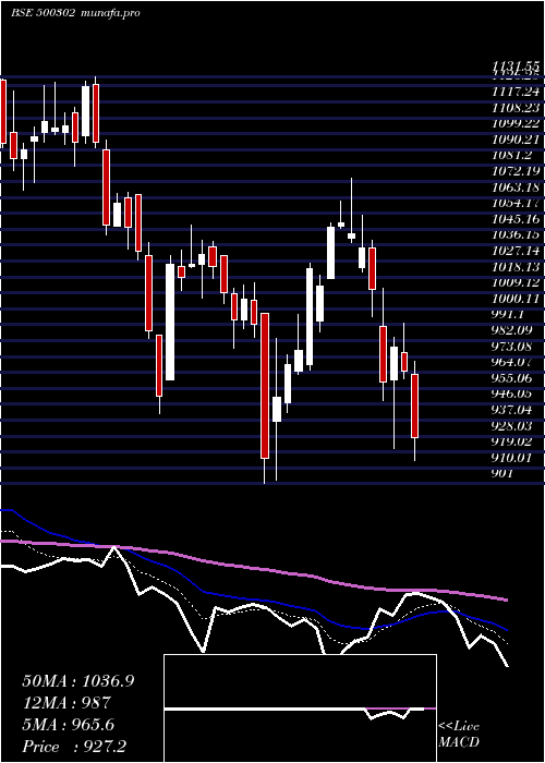  Daily chart Pel