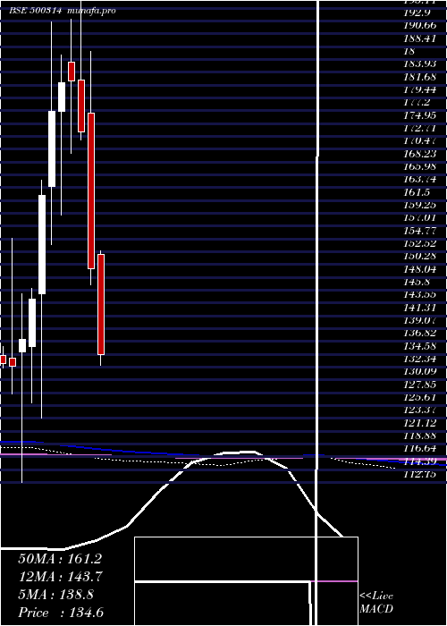  monthly chart OrientHotel