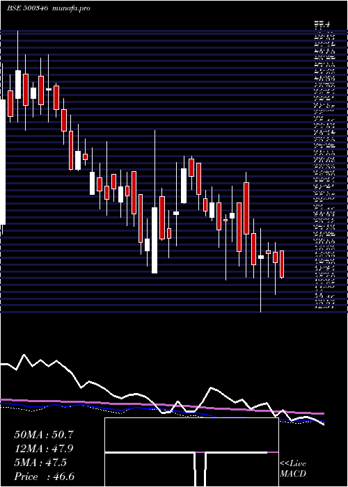  weekly chart PunCommuni