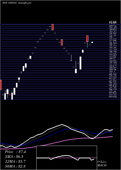 Daily chart Ramanews