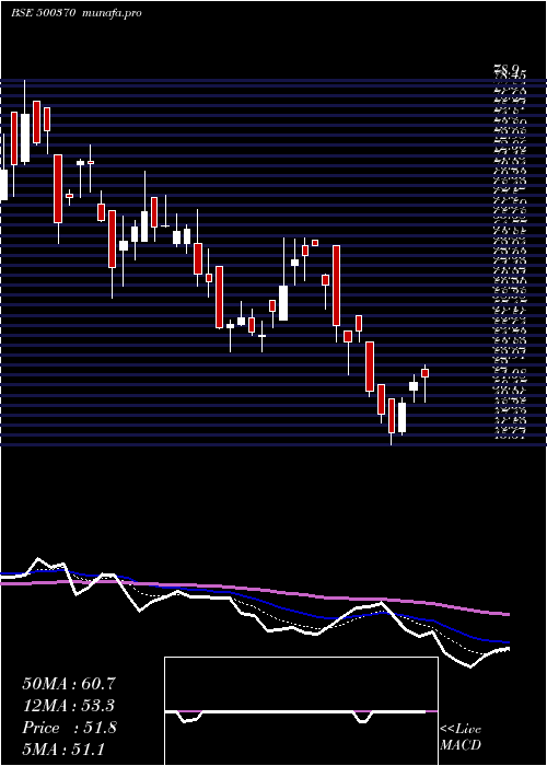  Daily chart SaloraInt