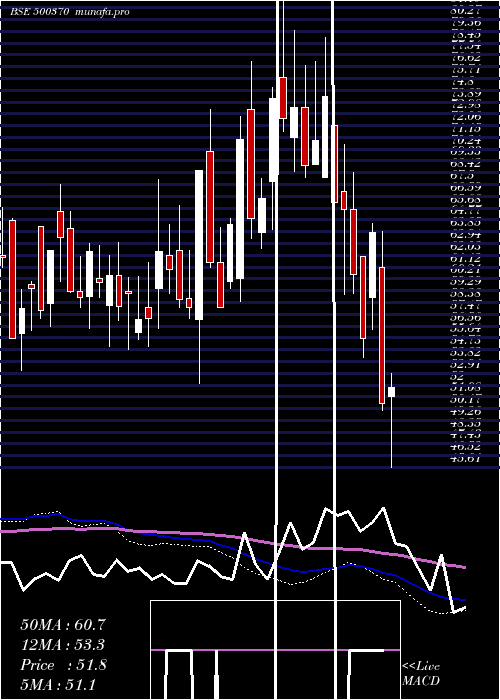  weekly chart SaloraInt