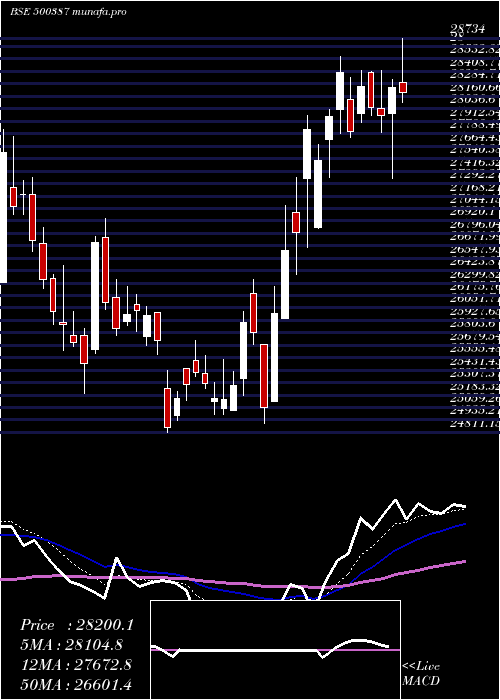  Daily chart ShreeCement