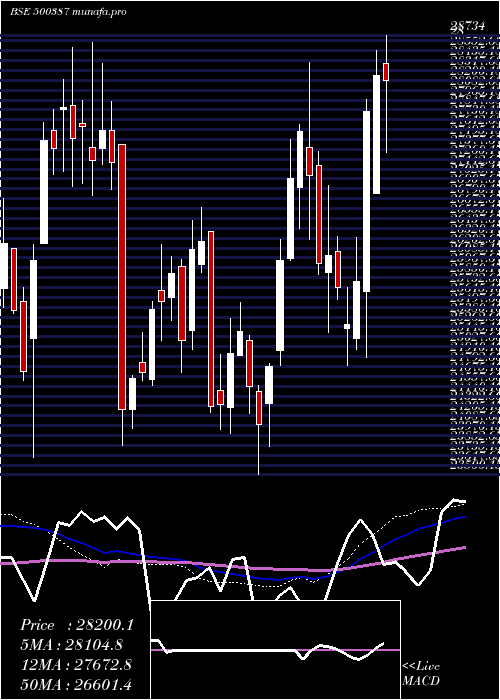  weekly chart ShreeCement