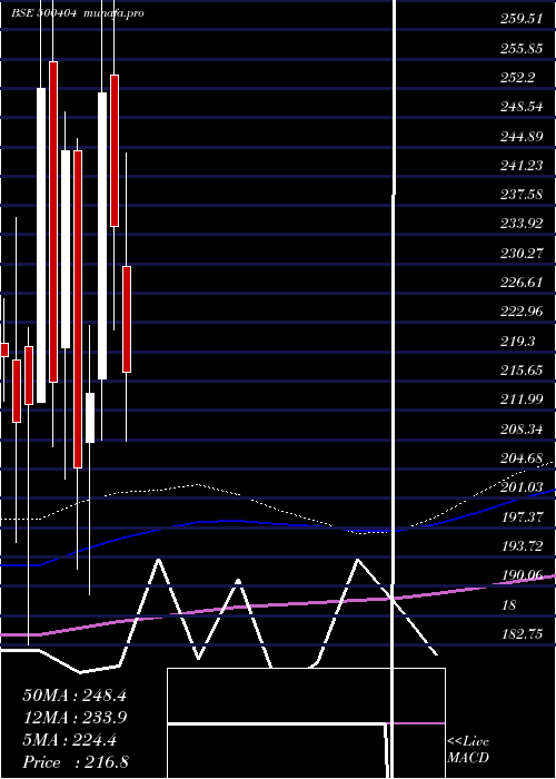  monthly chart SunflagIron