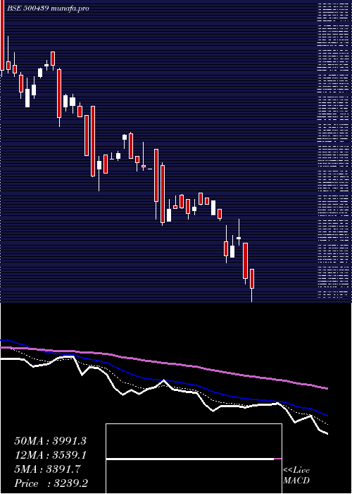  Daily chart VardHoldng