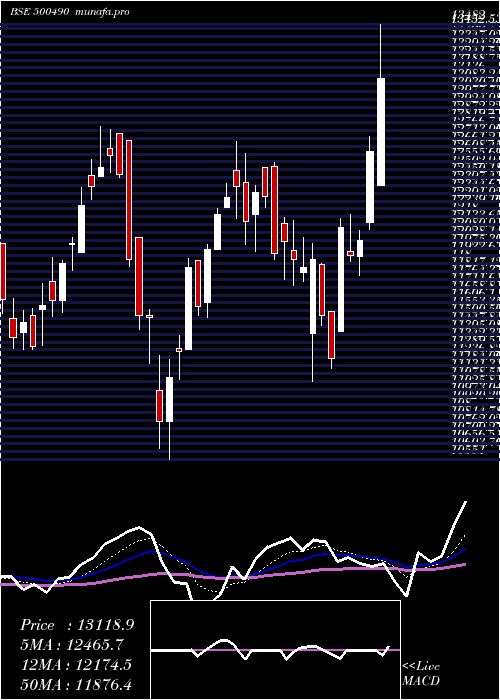 Daily chart BajHold