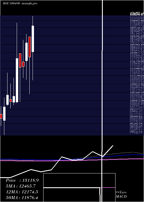 monthly chart BajHold