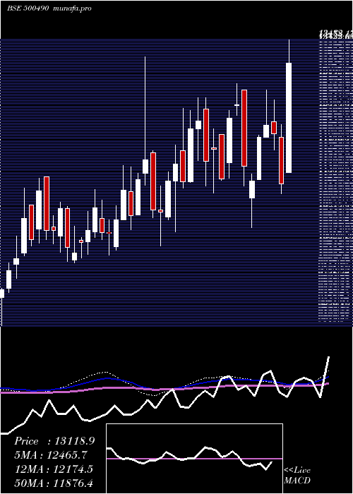 weekly chart BajHold