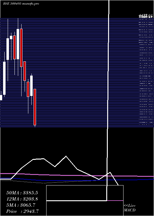  monthly chart Escorts