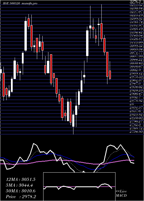  Daily chart MahMah