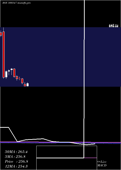  monthly chart BharatPet