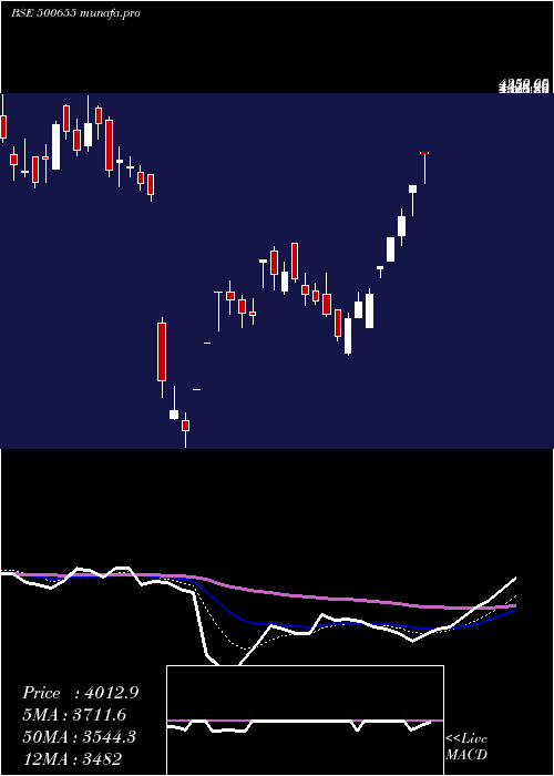 Daily chart GarwarePoly