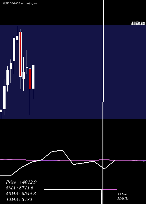 monthly chart GarwarePoly