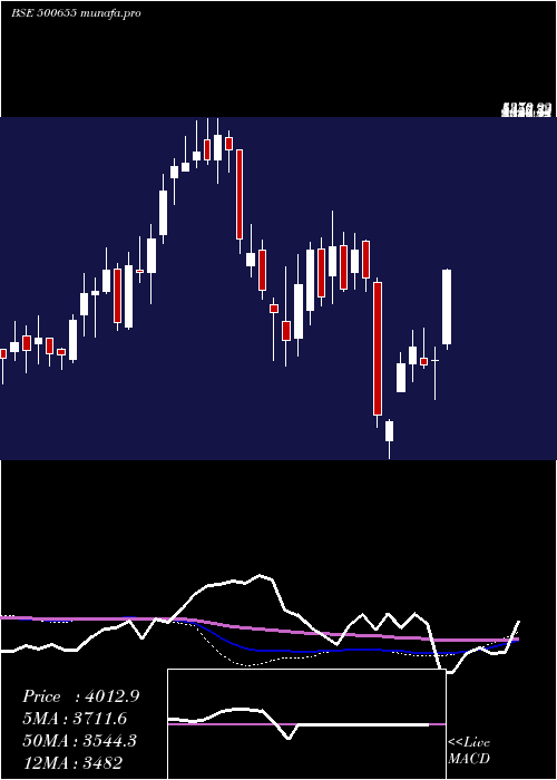 weekly chart GarwarePoly
