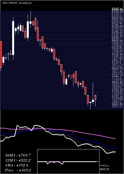  Daily chart Pfizer