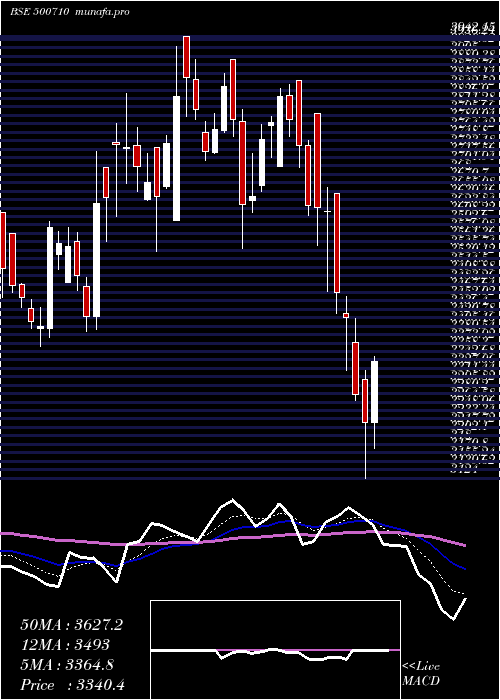  Daily chart Akzoindia