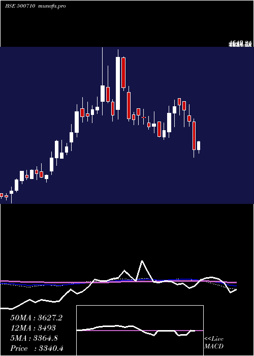  weekly chart Akzoindia