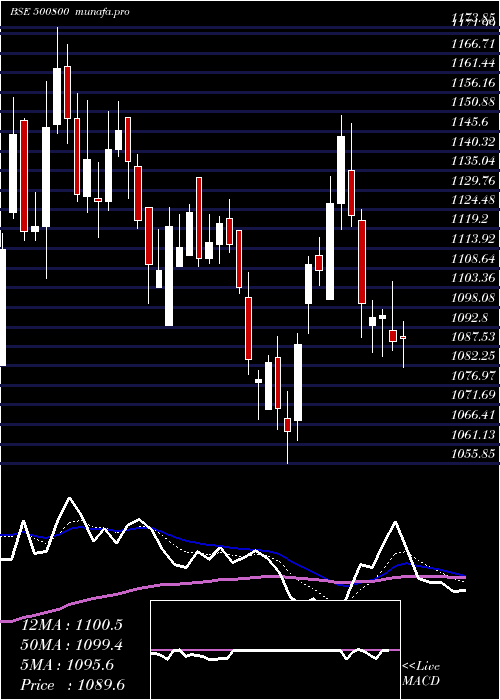  Daily chart Tataconsum