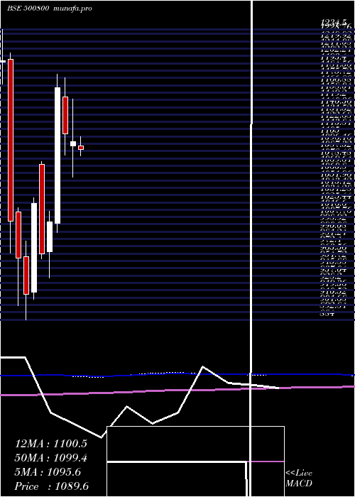 monthly chart Tataconsum