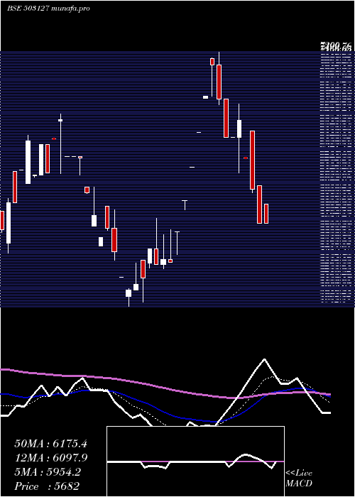  Daily chart RajaBahadur