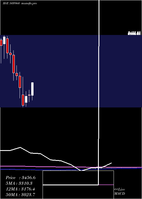 monthly chart BharatBijle