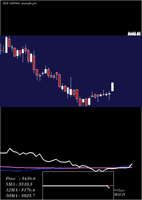 weekly chart BharatBijle