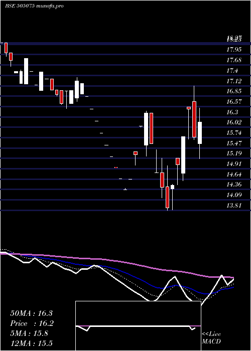  Daily chart SetcoAuto