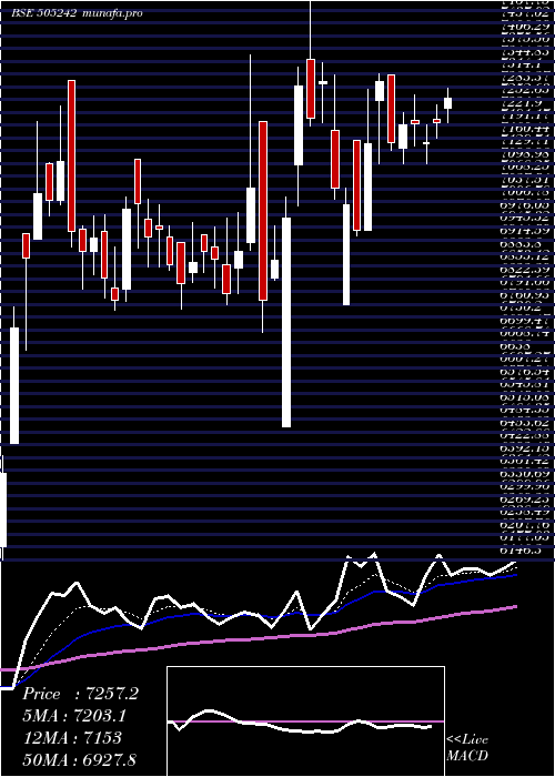 Daily chart DynamatTech