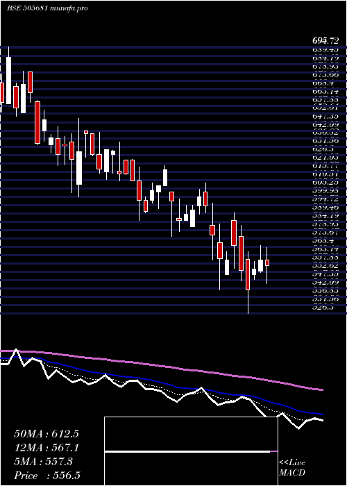  Daily chart BimetalBear