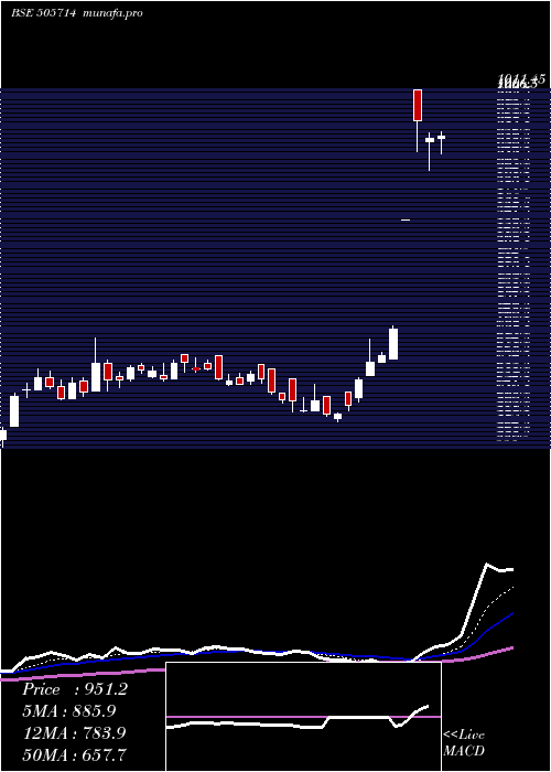  Daily chart GabrielI