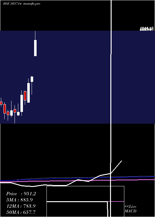 monthly chart GabrielI