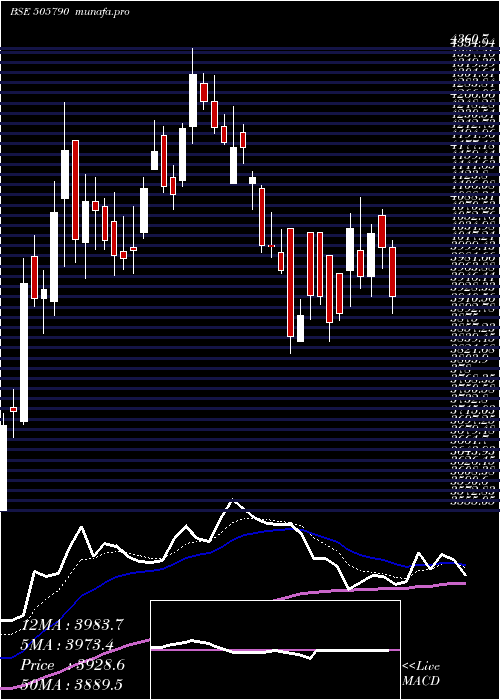 Daily chart Schaeffler