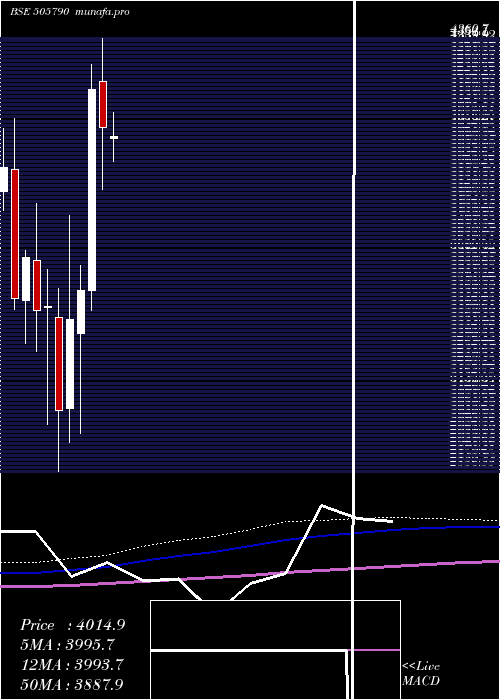 monthly chart Schaeffler