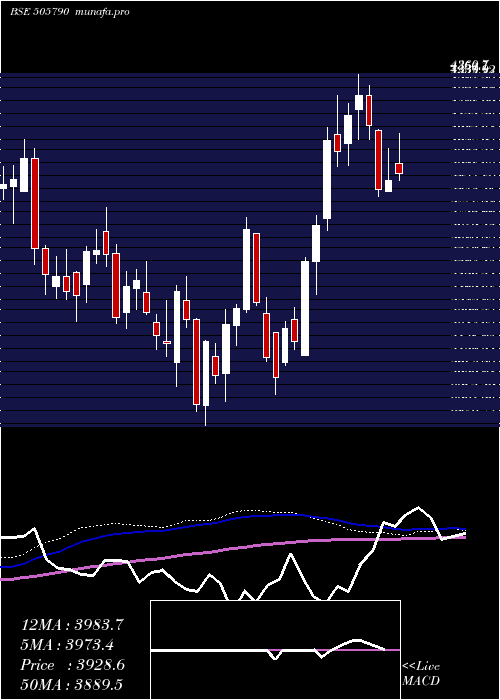weekly chart Schaeffler