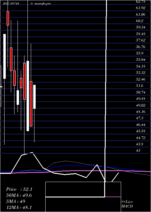  monthly chart CaprolaChem