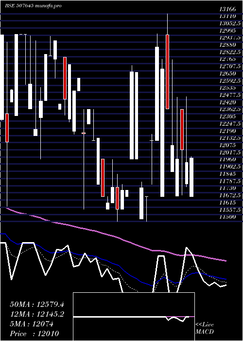  Daily chart Polson