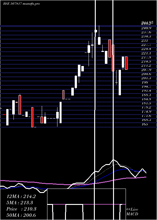  Daily chart WiresFabrik