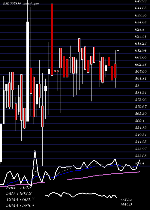  Daily chart MacCharles